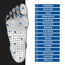 Massageador Para Pés Pernas Ems Magnético Relaxante Pro